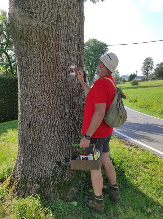 Turistické trasy a mapy České Petrovice