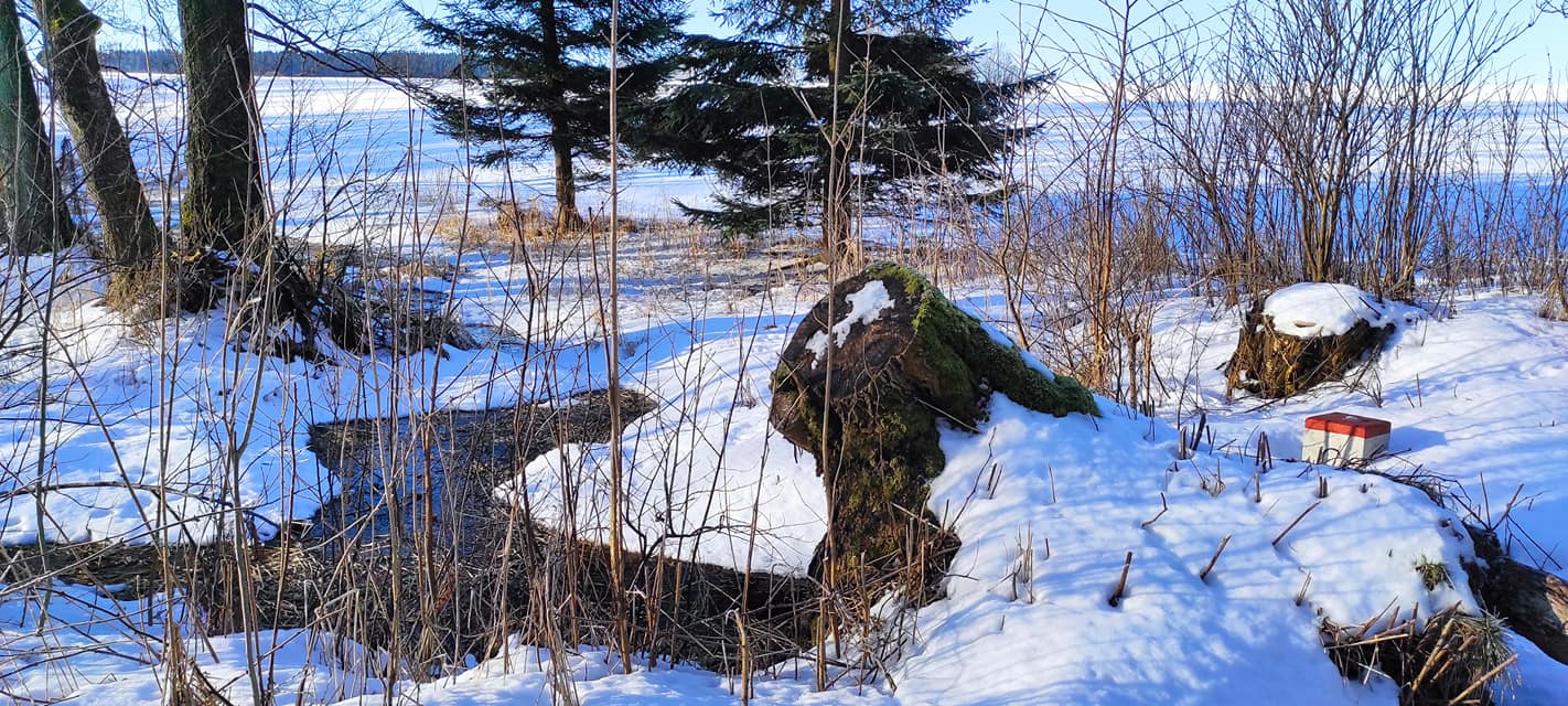 hranice_czerwony_strumien hranice_czerwony_strumien